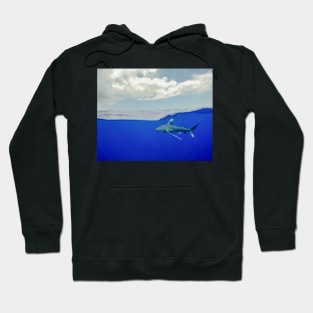 An Oceanic White Tip Shark Cruising Under the Clouds in the Bahamas Hoodie